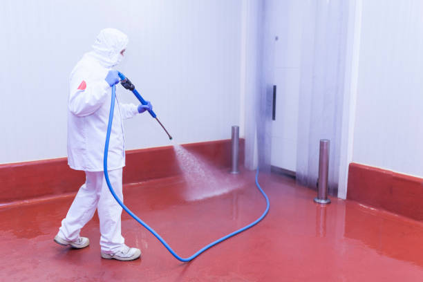 Best Post-Construction Pressure Washing  in Mcallen, TX