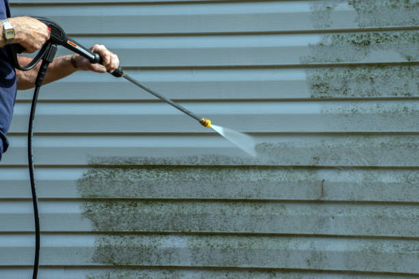 Best Gutter Cleaning  in Mcallen, TX